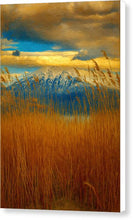 Load image into Gallery viewer, Mountains Beyond the Reeds - Canvas Print