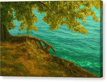 Load image into Gallery viewer, Serene Ohrid Lakeside Tree and Water - Canvas Print