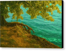 Load image into Gallery viewer, Serene Ohrid Lakeside Tree and Water - Canvas Print