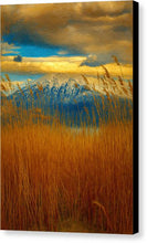 Load image into Gallery viewer, Mountains Beyond the Reeds - Canvas Print
