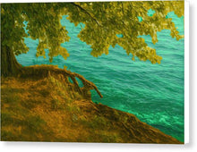 Load image into Gallery viewer, Serene Ohrid Lakeside Tree and Water - Canvas Print

